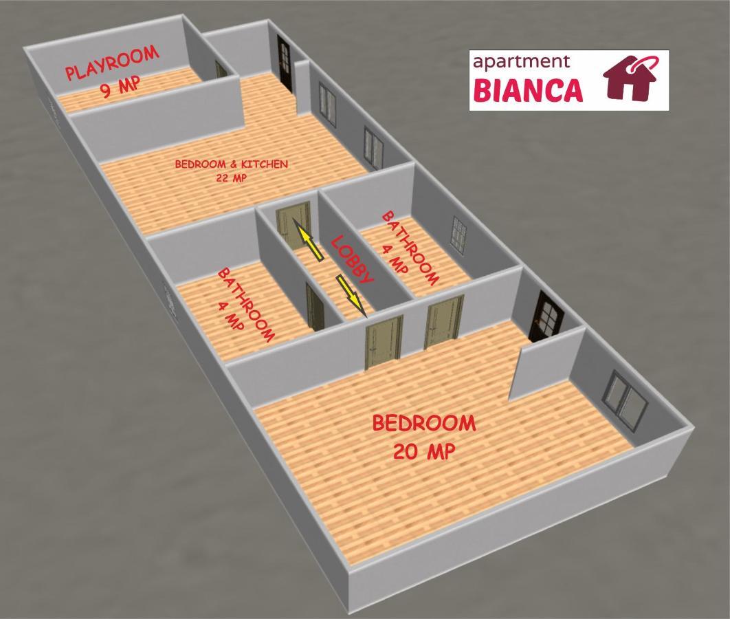 Apartment Bianca Brasov Bagian luar foto