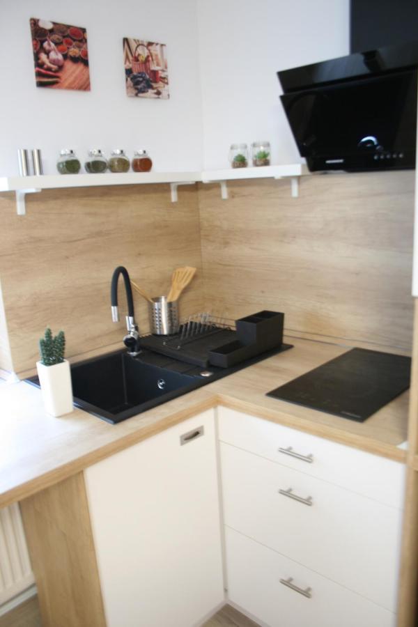Apartment Bianca Brasov Bagian luar foto